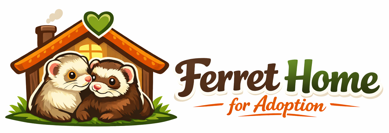 Ferrets Home For Adoption